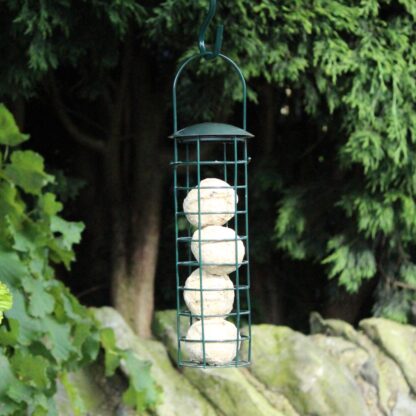 Green Standard Suet Fat Ball Bird Feeder