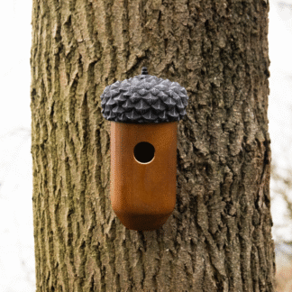 Acorn Wooden Bird House Fsc 100%