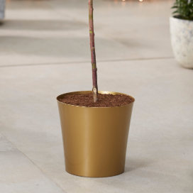 Medium Gold Plastic Plant Cover Pot  - 12.5cm Diameter
