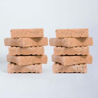 High-Energy Suet Blocks For Birds With Insects - Pack of 10