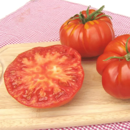 Tomato Plant 'Brutus'