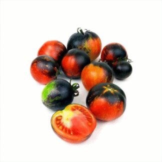 Tomato Plant 'Dark Galaxy'