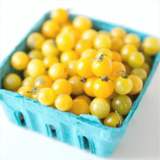 Tomato Plant 'Yellow Current'