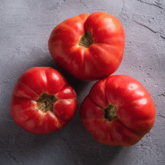 Tomato Plant 'Omar's Lebanese'