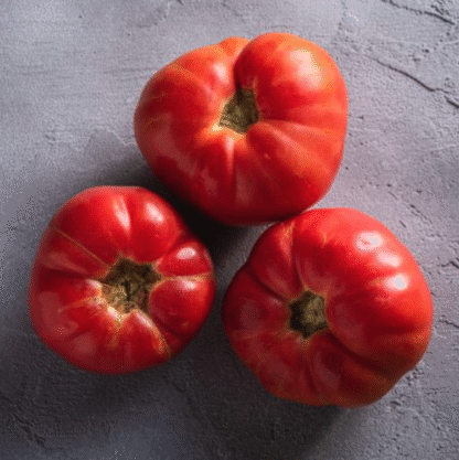 Tomato Plant 'Omar's Lebanese'