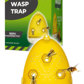 Organ-X Wasp Trap