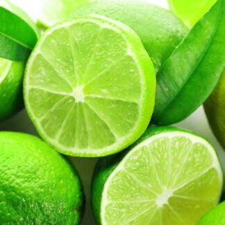 Large Citrus Aurantifolia Lime Tree - 60cms Tree