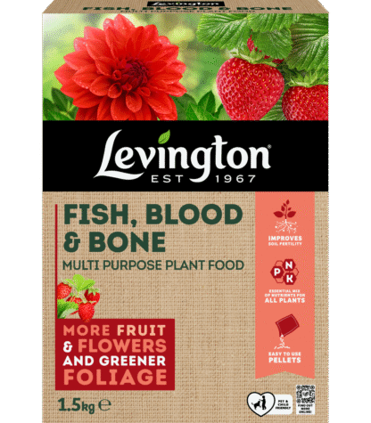 Levington Fish