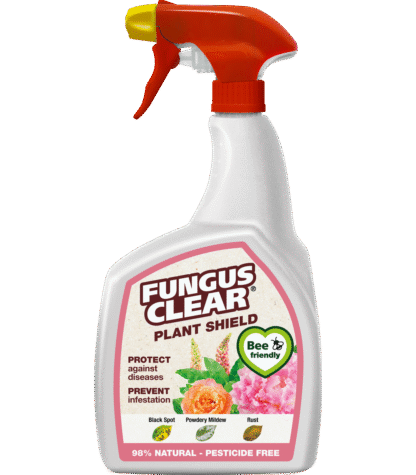 Fungusclear Plant Shield - 800ml