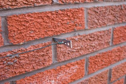 Hammer-In Vine Eyes