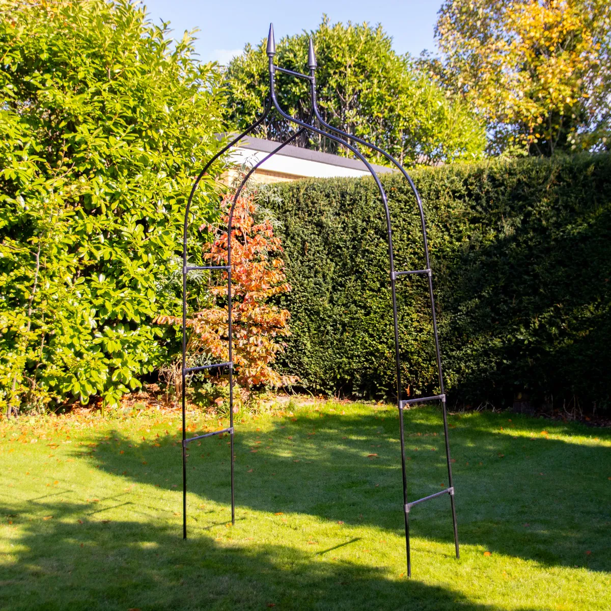 Gothic Garden Arch - Perfect For Climbing Plants & Roses - 2.95m Tall