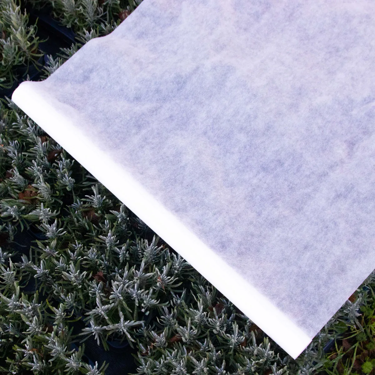 Extra Thick (30gsm) Frost Protection Blanket For Plants (1.5m x 15m)