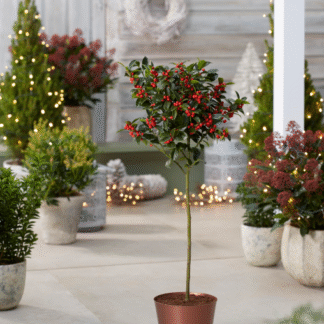 Medium Copper Plastic Plant Cover Pot - 14.5cm Diameter