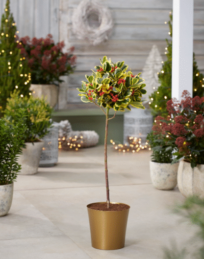 Small Gold Plastic Plant Cover Pot  - 9.5cm Diameter