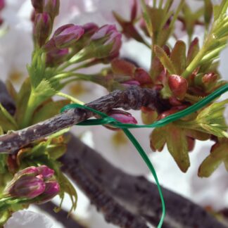 25cm General Purpose Garden Ties - Pack of 100