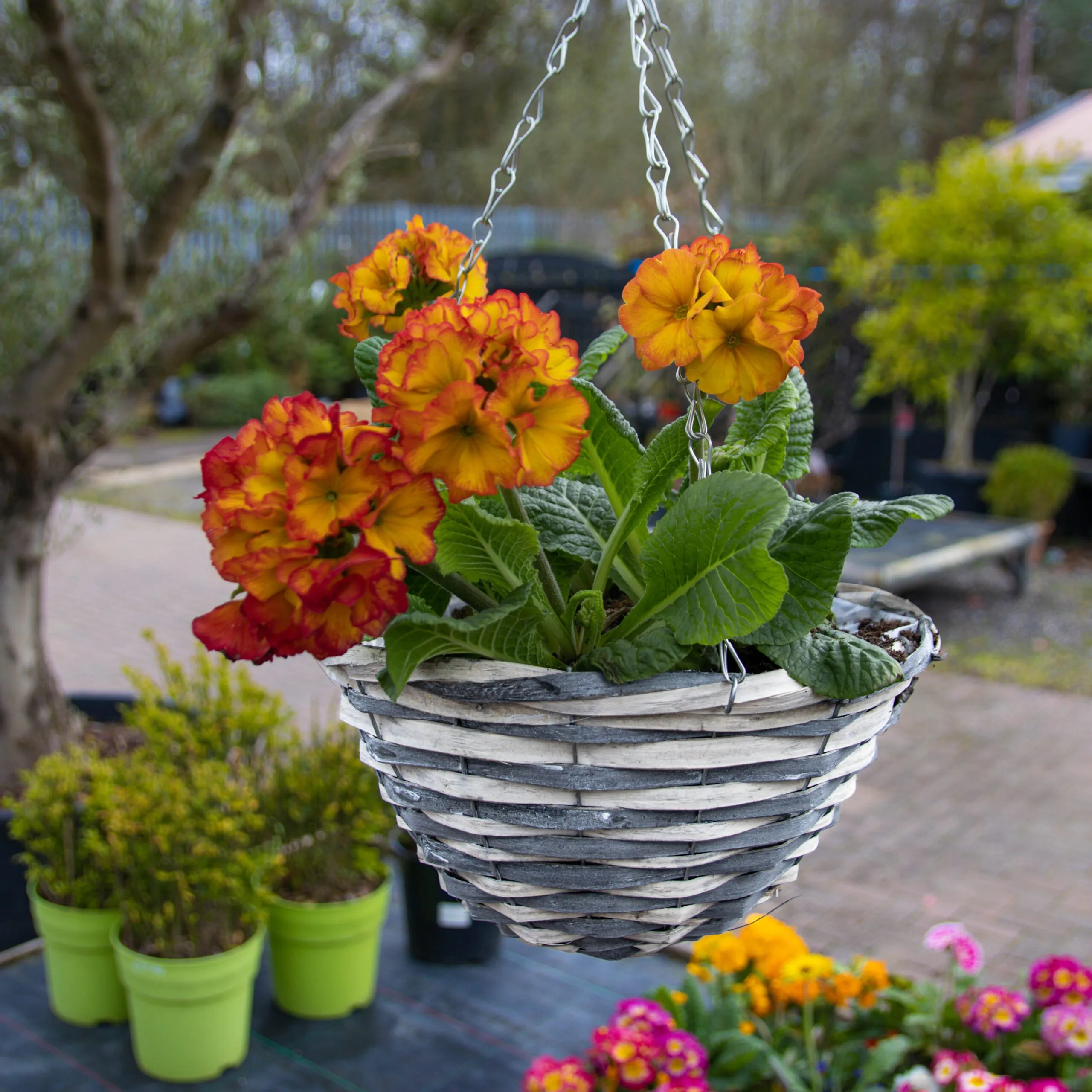 Hanging Basket - Premium Grey (30cm)
