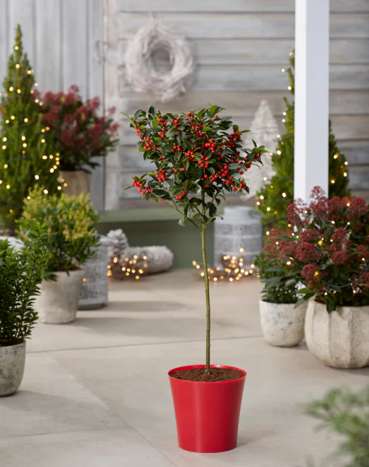 Red Plastic Plant Cover Pot - 9.5cm Diameter