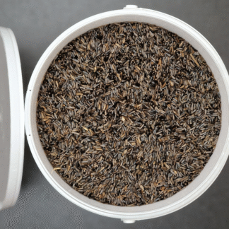 Nutritious Niger Seeds For Birds - Nyjer Seed - 5 Litre Tub