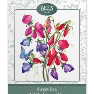 Old Fashioned Climbing Mix - Sweet Pea Flower Seed Packet