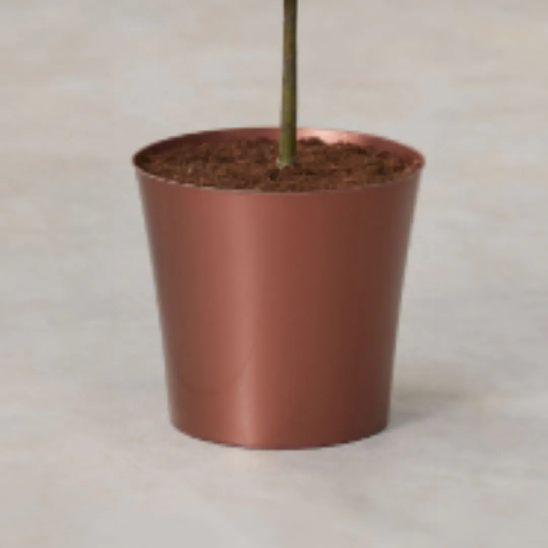 Copper Cover Pot - 20cm Diameter