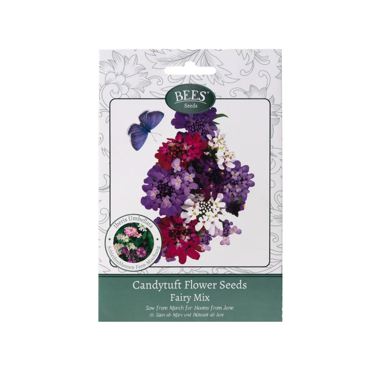 Fairy Mix - Candytuft Flower Seed Packet