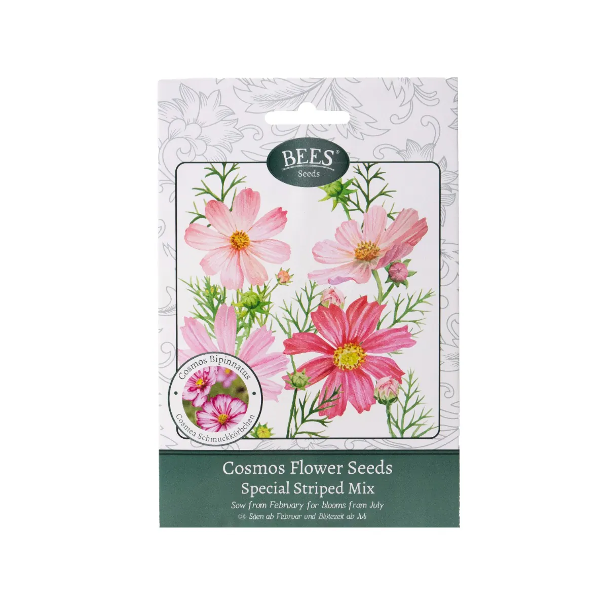 Special Striped Mix - Cosmos Flower Seed Packet
