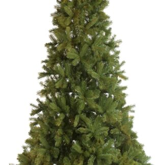 Mayberry Spruce - Christmas Tree - Approx. 7ft