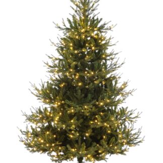 Prelit Brunswick Pine - Christmas Tree - Approx. 6ft