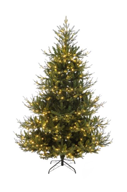 Prelit Brunswick Pine - Christmas Tree - Approx. 6ft