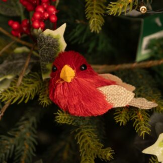 Red Bristle Bird - Christmas Decoration