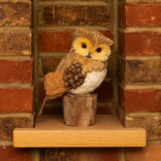 Bristle Owl On Log - Christmas Decoration