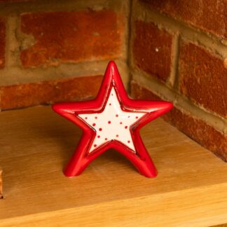 Red And White Star - Christmas Decoration