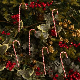 Candy Canes - Pack of Six - Christmas Tree Decoration