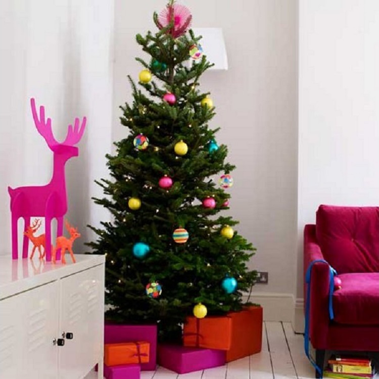 Nordmann Fir Christmas Tree - Fresh Cut Non-Drop Luxury Tree (Approx 6-7ft) + Delivered 15th To 20th Dec +