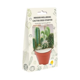 Indoor Wellbeing - Cactus House Plant Growing Gift Set