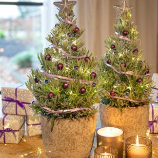 Pair of Lavender Christmas Trees