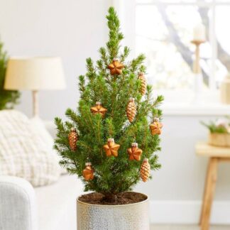 Contemporary Christmas Tree Circa 45-50cm Tall