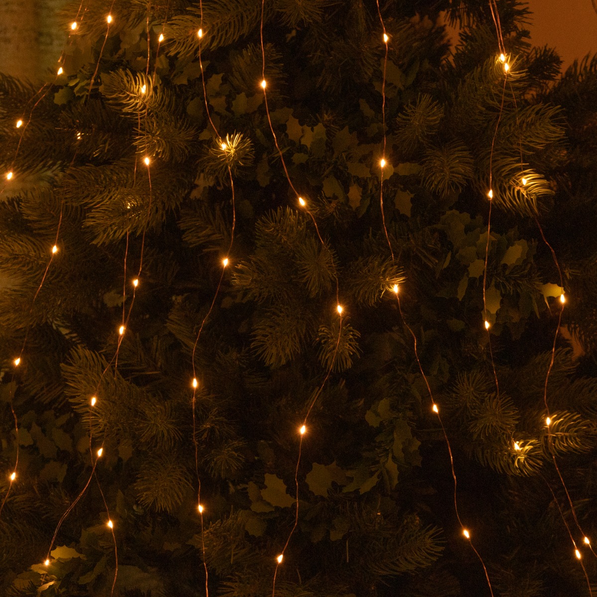 200 Amber Branch Lights - Christmas Tree Lights