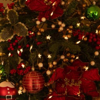 50 Warm White Timer Star Lights - Battery Operated - Christmas Decoration