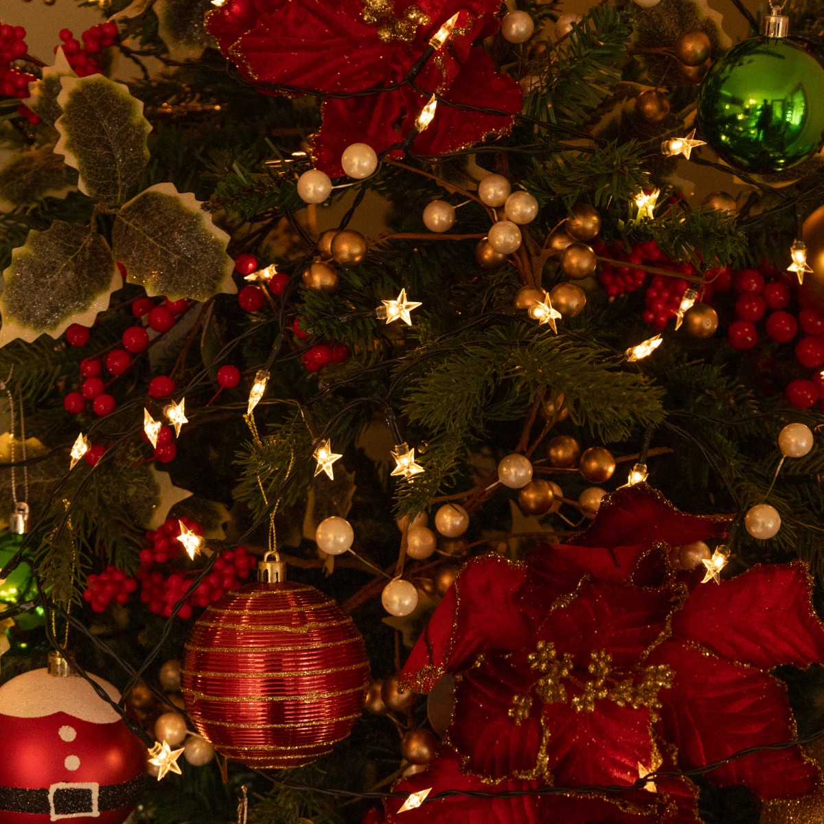 50 Warm White Timer Star Lights - Battery Operated - Christmas Decoration