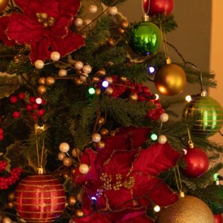 50 Multi-Colour Timer Berry Lights - Battery Operated - Christmas Decoration