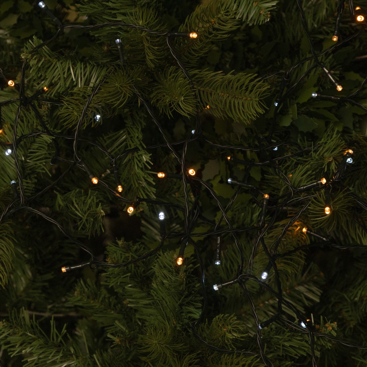 200 White And Warm White Led Timer Lights - Christmas Lights - Battery Operated