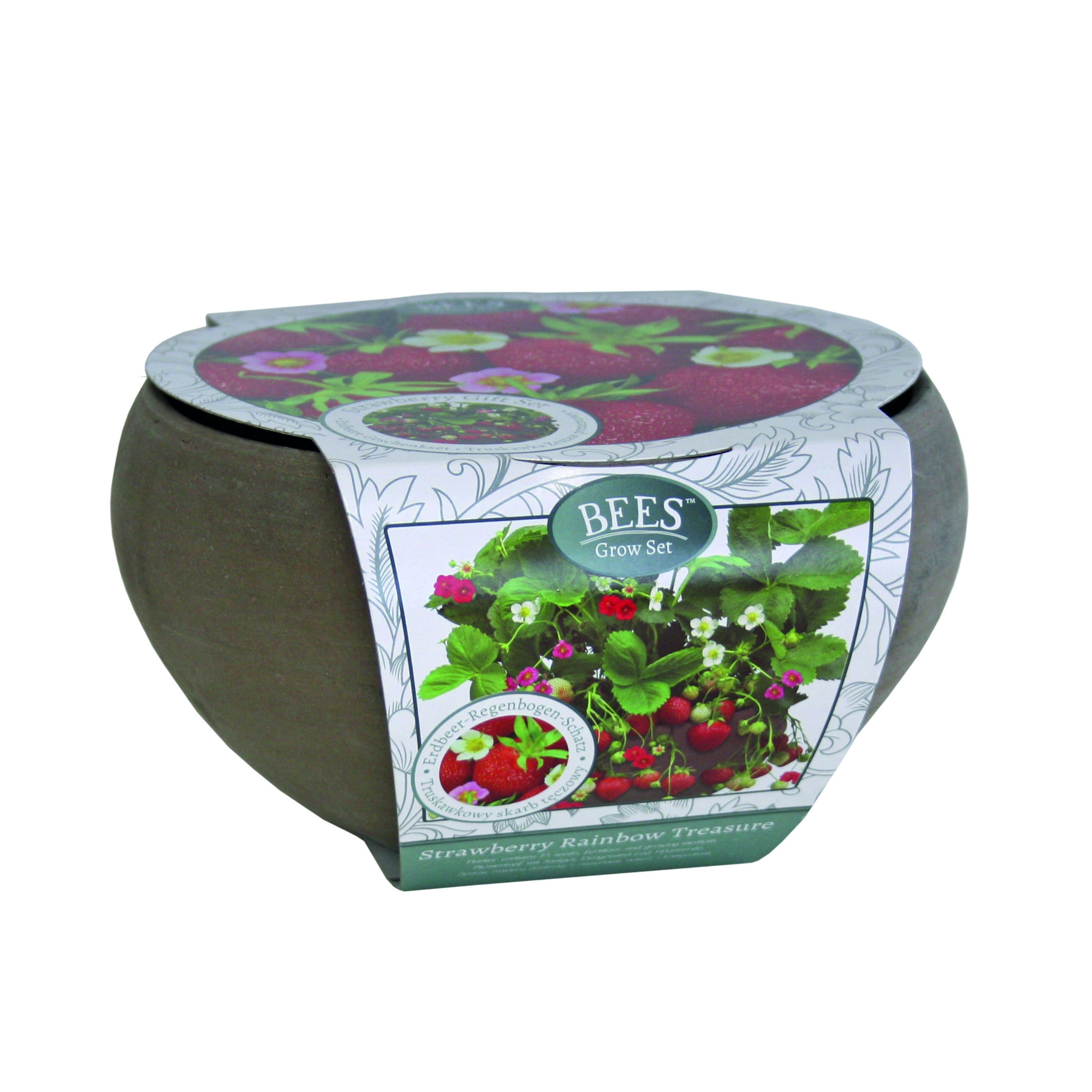 Strawberry Grow Kit - Complete Basalt Planter Growing Set