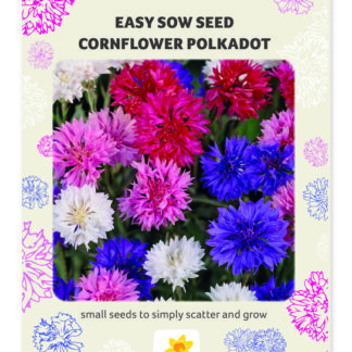 Easy Sow Cornflower Seed Packet