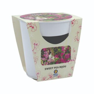 Sweet Pea Memory Pot - Flowering Gift Set