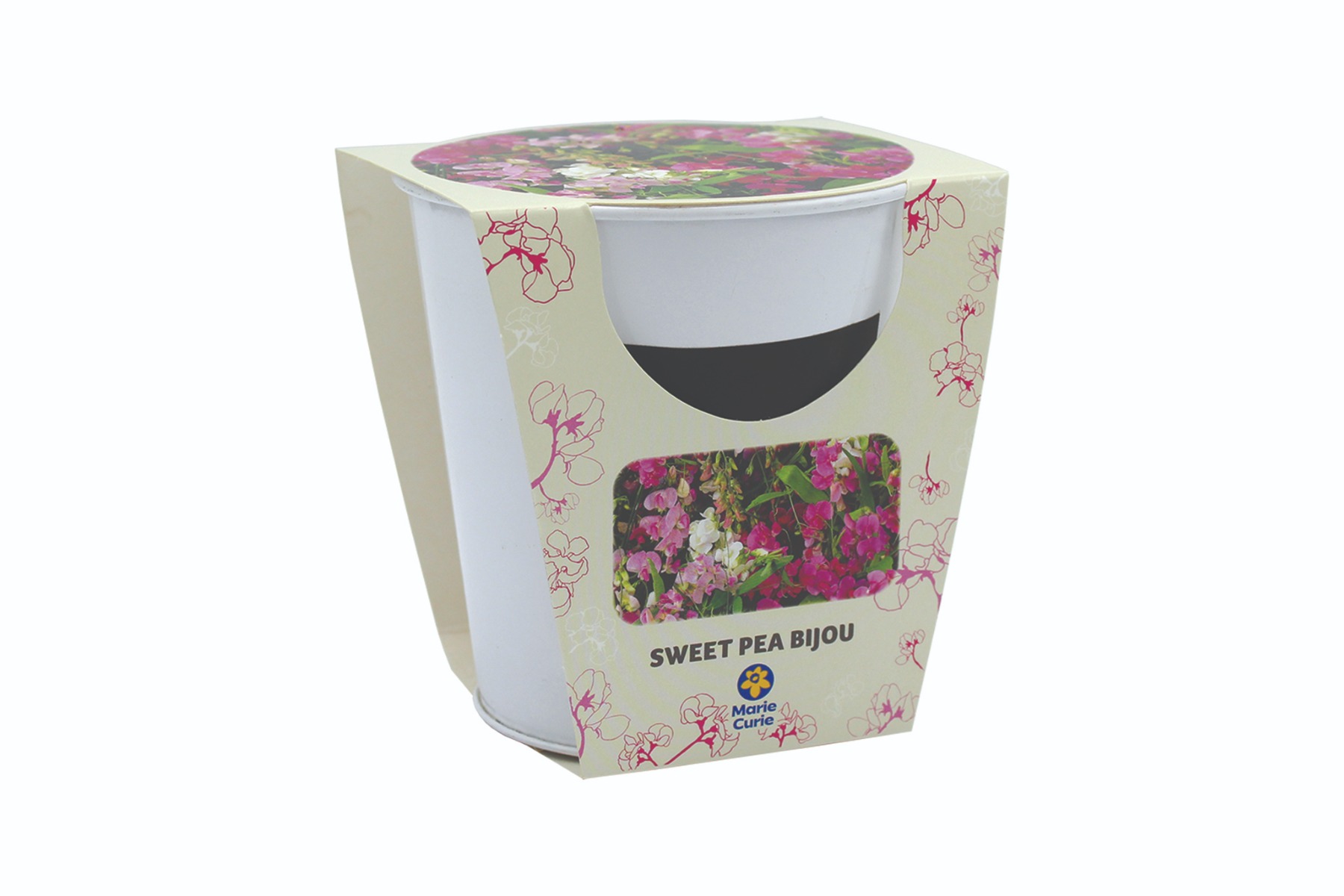 Sweet Pea Memory Pot - Flowering Gift Set