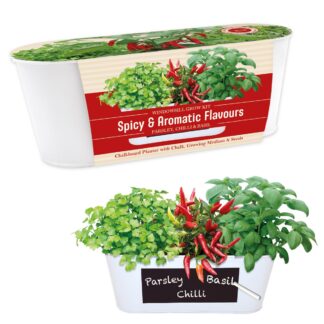 Windowsill Chilli And Herb Growing Gift Set