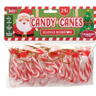 Mini Candy Canes - 24 Candy Canes in Assorted Flavours