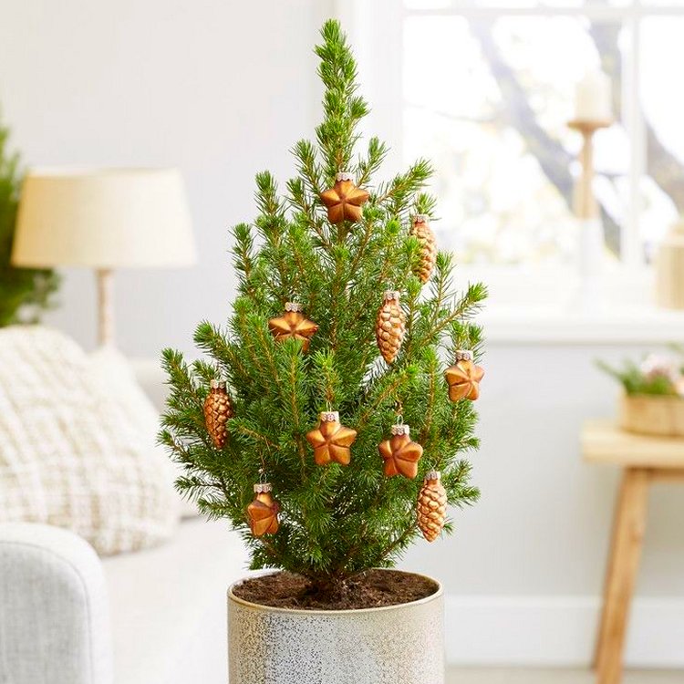 Contemporary Christmas Tree Circa 40cm Tall