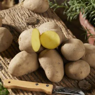 Charlotte - Salad Crop Seed Potatoes - Pack of 10